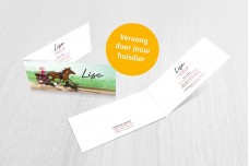 Paardenkoets met dieren meisje Paardenkoets met dieren meisje